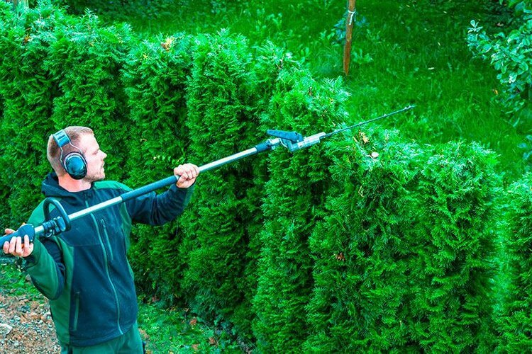 Foto da galeria de projetos: Limpeza